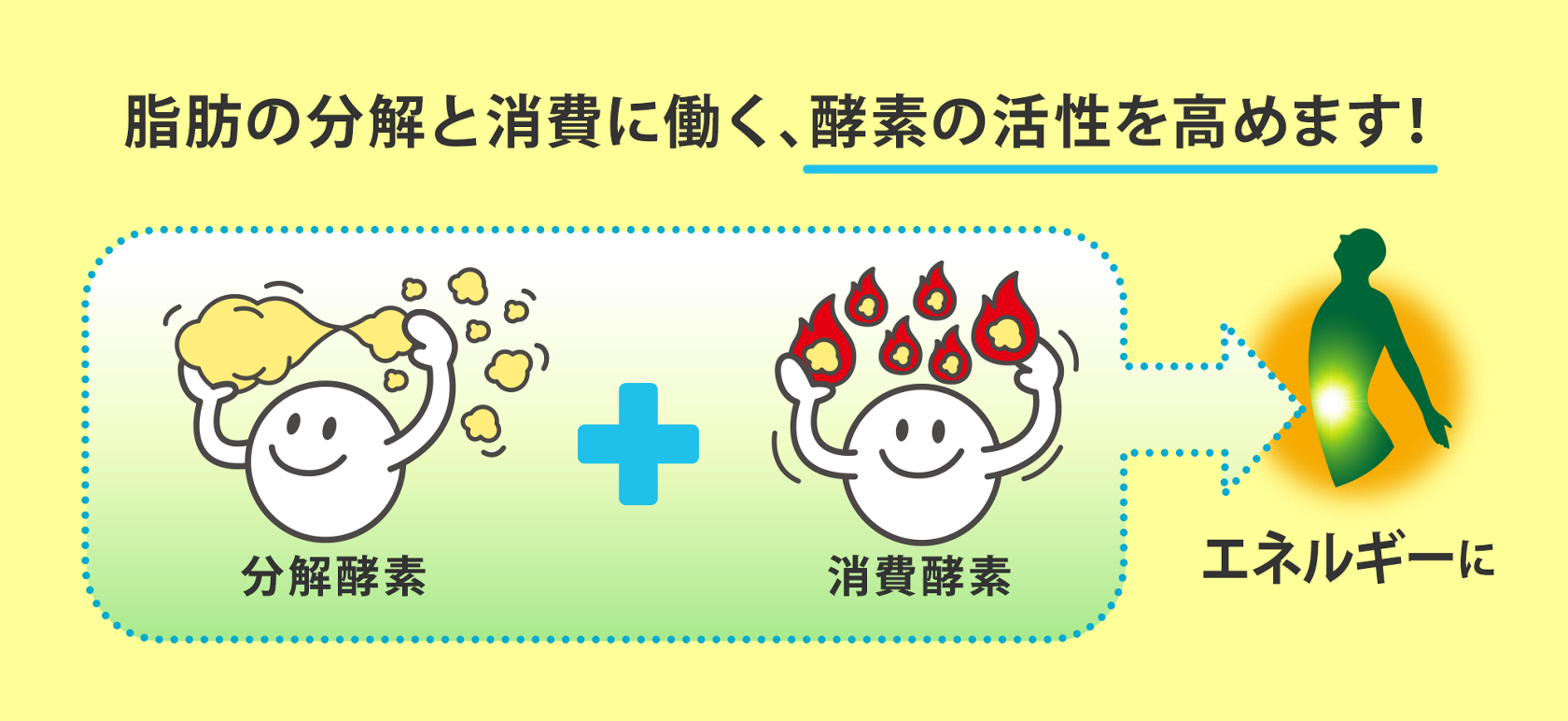 花王株式会社 ヘルシア ヘルシアスパークリング 花王株式会社 ヘルシア ヘルシアスパークリング