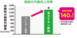 脂肪の代謝向上効果