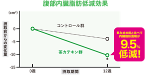 腹部内臓脂肪低減効果