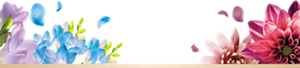 s_bottom