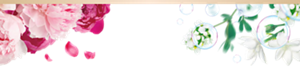 s_top