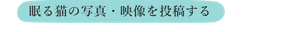 眠る猫の写真・映像を投稿する