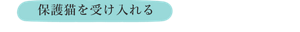 保護猫を受け入れる