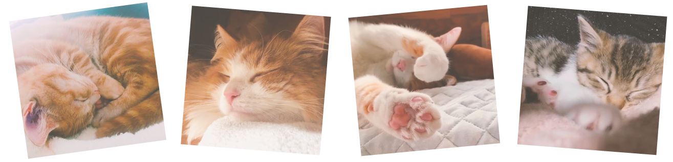 とろねこチャレンジ ハミングlinne 柔軟剤ハミング 花王