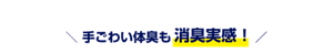 手ごわい体臭も消臭実感！