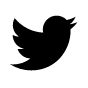 twittericon2