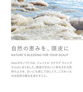 自然の恵みを、頭皮に NATURE’S BLESSING FOR YOUR SCALP inesのモノづくりは、ジェントル スクラブ クレンズからはじまりました。頭皮がきれいに浄化される気持ちよさを、まいにち感じてほしくて。こだわったのは自然の恵みを活かすこと。