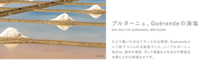 ブルターニュ、Guérandeの海塩 SEA SALT OF GUÉRANDE, BRETAGNE たどり着いたのはフランスの北西部、Guérandeという街でつくられる海塩でした。ここブルターニュ地方は、海水や海泥、そして海塩などを活かす美容法を育んできた地域なのです。