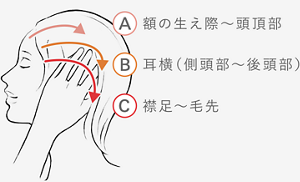 STEP 02 　A 額の生え際〜頭頂部　B 耳横（側頭部〜後頭部）　Ｃ 襟足〜毛先