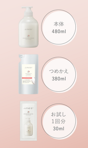 本体480ml　つめかえ380ml　お試し1回分30ml