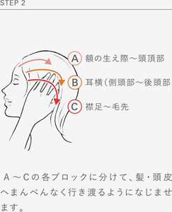 STEP 2 A額の生え際〜頭頂部 B耳横（側頭部〜後頭部） C襟足〜毛先  A～Ｃの各ブロックに分けて、髪・頭皮へまんべんなく行き渡るようになじませます。