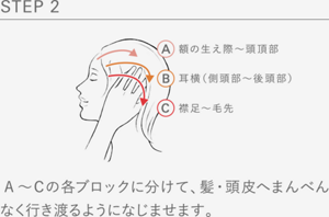 STEP 2 A額の生え際〜頭頂部 B耳横（側頭部〜後頭部） C襟足〜毛先  A～Ｃの各ブロックに分けて、髪・頭皮へまんべんなく行き渡るようになじませます。