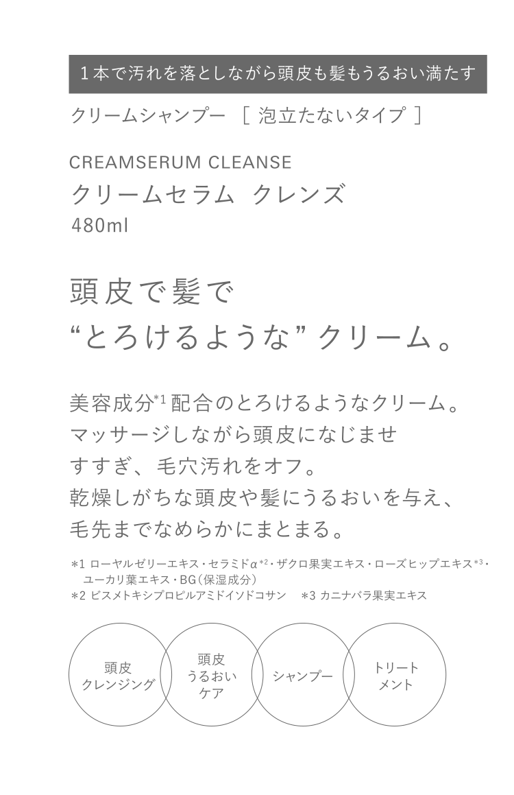 Amazon.co.jp: Ines(イネス) クリームセラム クレンズ 480ml