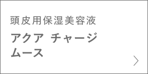 頭皮用保湿美容液　アクア チャージ ムース　＞