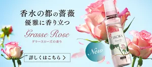 香水の都の薔薇　優雅に香り立つ　グラースローズの香り