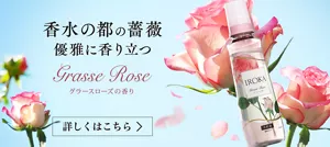 香水の都の薔薇　優雅に香り立つ　グラースローズの香り