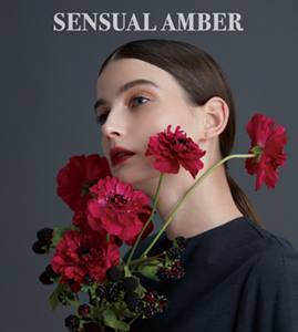 SENSUAL AMBER 香りのイメージ画像