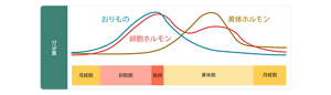 卵胞ホルモンの分泌とおりものの量が、比例しているとわかるグラフ。