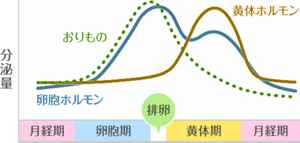 卵胞ホルモンの分泌量とおりものの量の比例について記したグラフ。