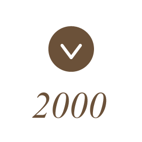 2000年の商品説明へ