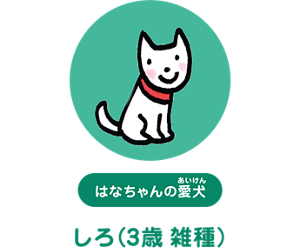 はなちゃんの愛犬：しろ（3歳 雑種）