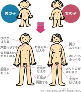 小学生　中学生　乳首 