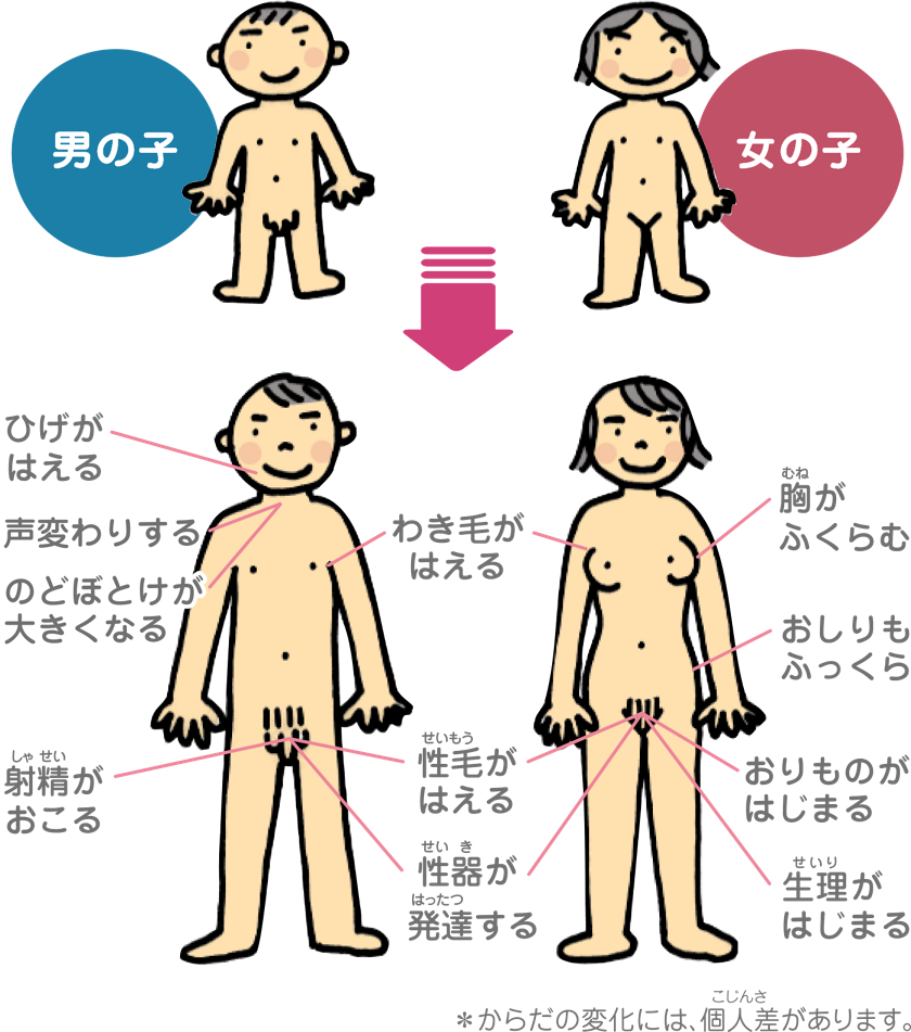 ＪＳ小学生高学年　 マンコ 