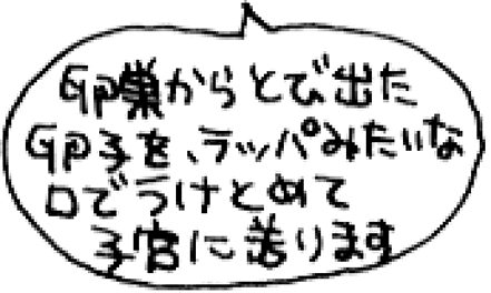 Lesson1 思春期のからだ おとなになるということ ロリエ 花王株式会社 Lesson1 思春期のからだ おとなになるということ ロリエ 花王株式会社