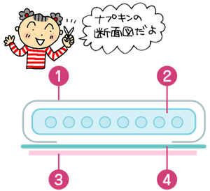 ナプキンの断面図のイメージ。