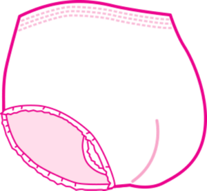 ショーツタイプのイメージ。