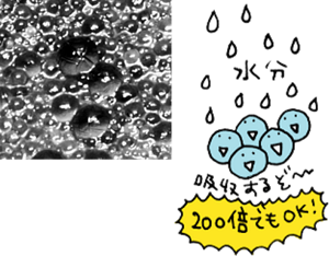 高分子吸収体(ポリマー)のイメージ。