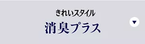 きれいスタイル 消臭プラスの製品特長へ。