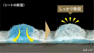 瞬間的に水分を吸収するイメージ。シートの断面に溜まった水分がしっかり吸収される。