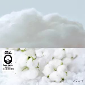 コットンのイメージ。コットンの柔らかさを表現している。