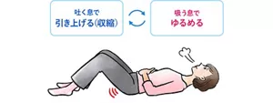 呼吸とインナーマッスルを連動させて骨盤底筋を動かすイメージ。吐く息で引き上げ（収縮）、吸う息でゆるめる。