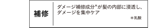 補修｜ダメージ補修成分＊が髪の内部に浸透 し、ダメージを集中ケア ＊乳酸
