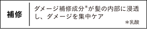 補修｜ダメージ補修成分＊が髪の内部に浸透 し、ダメージを集中ケア ＊乳酸