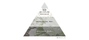 香りのイメージ　トップ：ライチ、グリーンアップル、ホワイトピーチ　ミドル：ホワイトフローラル、サボン　ラスト：ホワイトムスク、ウッディ　