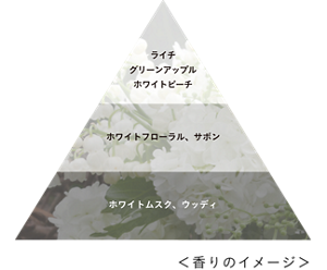 香りのイメージ　トップ：ライチ、グリーンアップル、ホワイトピーチ　ミドル：ホワイトフローラル、サボン　ラスト：ホワイトムスク、ウッディ　
