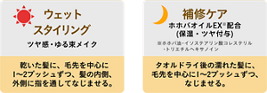 ウェットスタイリング ツヤ感・ゆる束メイク 乾いた髪に、毛先を中心に1〜2プッシュずつ、髪の内側、外側に指を通してなじませる。補修ケア ホホバオイルEX※配合（保湿・ツヤ付与）※ホホバ油・イソステアリン酸コレステリル・トリエチルヘキサノイン タオルドライ後の濡れた髪に、毛先を中心に 1〜2プッシュずつ、なじませる。