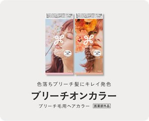 色落ちブリーチ髪にキレイ発色 リーゼ ブリーチオンカラー ブリーチ毛用ヘアカラー 医薬部外品