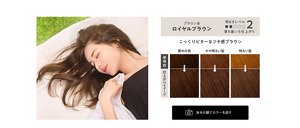 ブラウン系ロイヤルブラウン 明るさレベル2 落ち着いた仕上がり こっくりビターなツヤ感ブラウン 