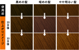 リーゼ 泡ブリーチ ナチュラルトーンの仕上がりイメージ 色見本