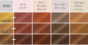 色ごとの髪色の見本