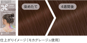 仕上がりイメージ（モカグレージュ使用）