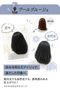 クールブルージュ　赤みを抑えたアッシュで、凛とした印象へ　室内光でも自然光でも、透明感のある仕上がりに！