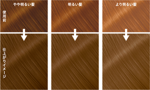 ラテグレージュの仕上がりイメージ