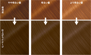 モカグレージュの仕上がりイメージ