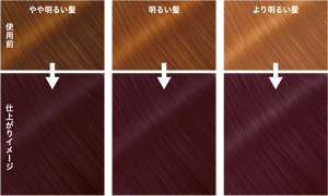 ピンクラベンダーの仕上がりイメージ