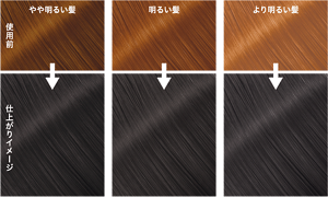 クールブルージュの仕上がりイメージ
